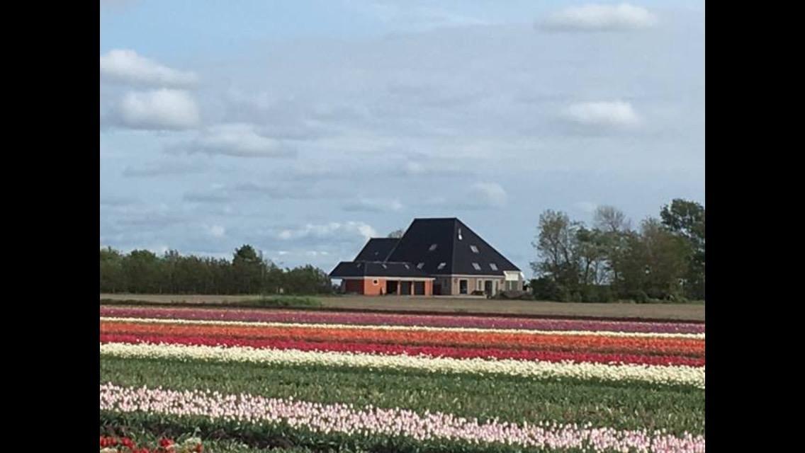 Boerderij De Waard Bed & Breakfast Anna Paulowna Eksteriør bilde